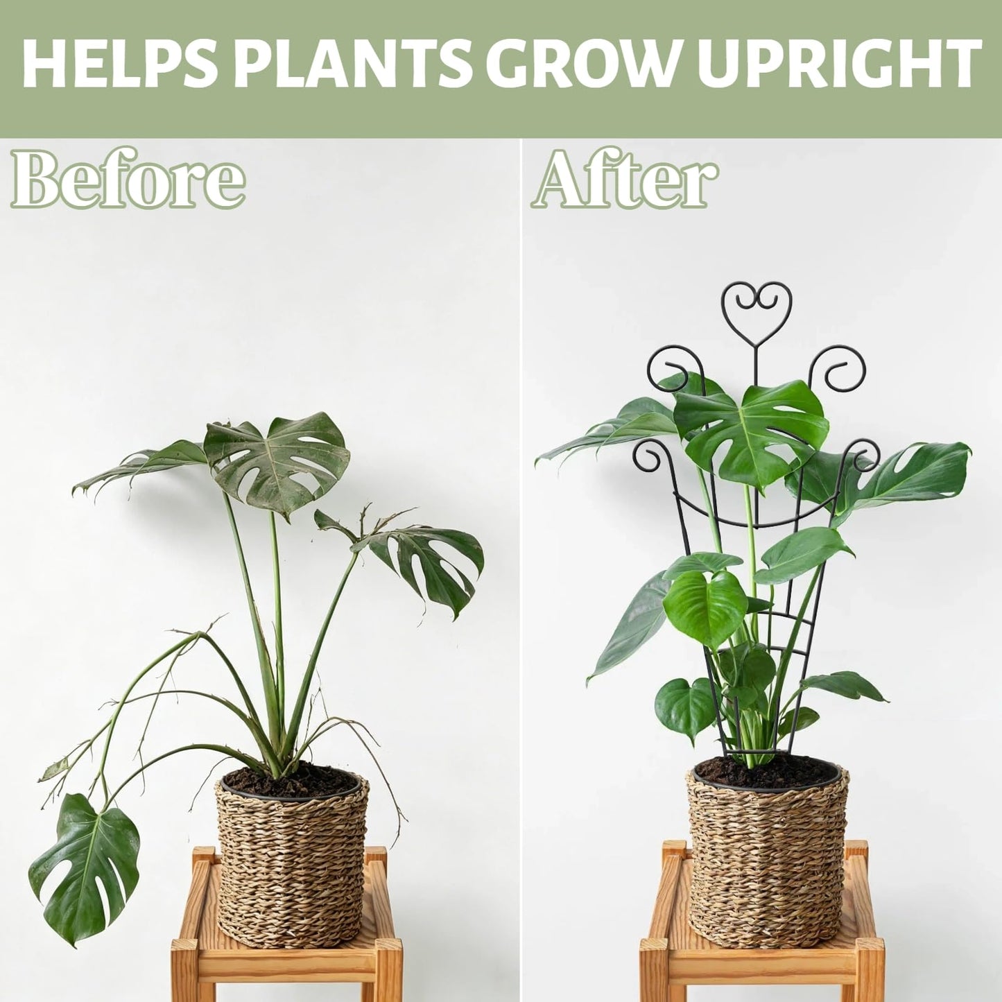 Plant Trellis for Climbing Plants Indoor 2Pcs Small Garden Trellis for Potted Plants Sturdy Metal Houseplant Support 33in Taller Plant Trellis for Monstera pothos lvy Vine