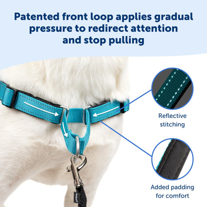 PetSafe Easy Walk Deluxe Dog Harness, No Pull Dog Harness – Perfect for Leash & Harness Training – Stops Pets from Pulling and Choking on Walks – Medium, Ocean