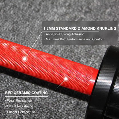 NP Pair of 16" Olympic Dumbbell Handles, Loadable Dumbbell Bars in Commercial Grade for 2-inch Olympic Weight Plates Great for Home Gym Strength Training, Weight Barbells with 2 Pair of Spring Collars, Red