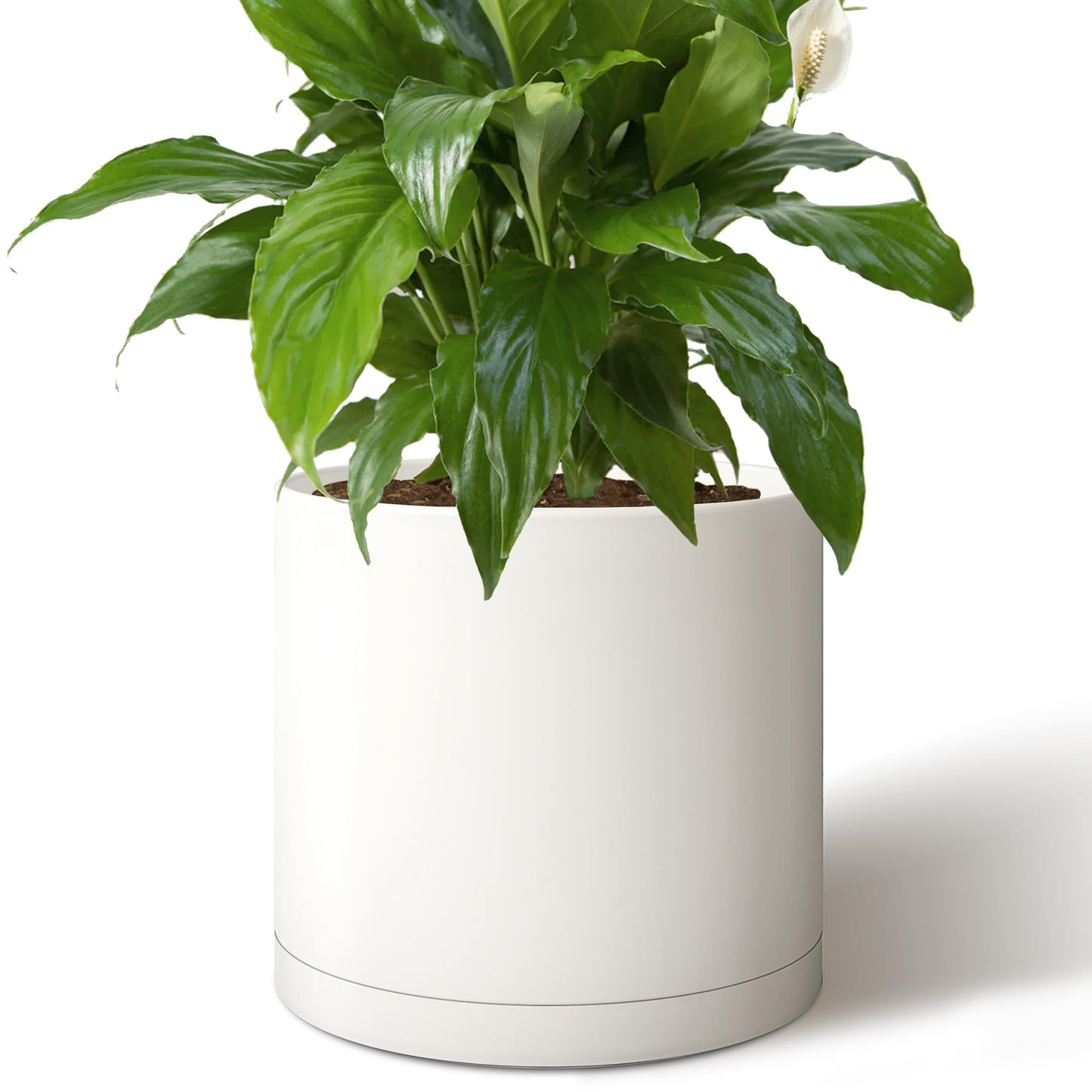 Giraffe Creation 14-Inch Round Cylinder Plant Pot, Modern Indoor/Outdoor Planter with Drainage Hole, Saucer & Water Reservoir, White