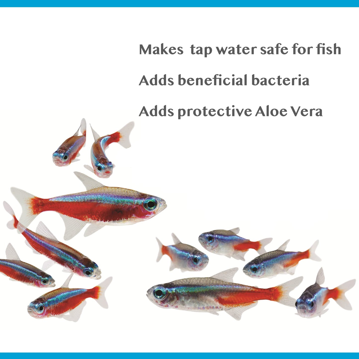 Interpet Bioactive Tapsafe Aquarium Water Dechlorinator & Conditioner, 500 ml, Keeps Fish Safe, Fast Acting, Removes Harmful Toxins from Tap Water Before Adding to Your Tank