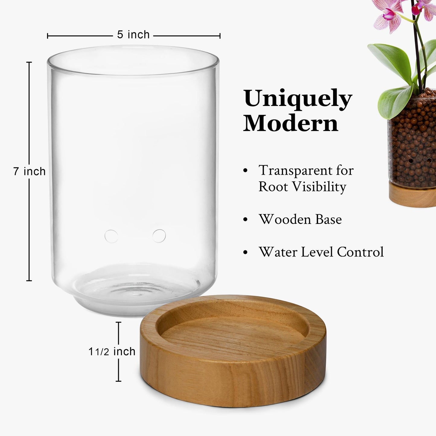 Pot & Pebble - C1 Glass Planter with Wooden Base - Indoor Glass Planter with Water Level Control Holes -Grow Plants in LECA Clay Pebbles/Similar Media - Semi Hydroponic Planter - Plant Cutting Holder