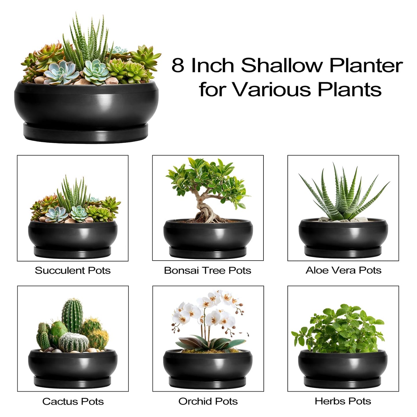 EPFamily Succulent Planters 8 Inch - Ceramic Bonsai Pots for Indoor Outdoor, Round Succulent Pots with Drainage Hole and Saucer, Modern Shallow Planter Bowl, Garden Home Decor, Birthday Gifts, Black
