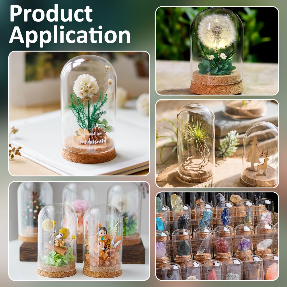 BENECREAT 2 Pcs Glass Display Cloche, 3x4.1 inches Bell Jar Dome with Cork Base, Display Dome Glass for Flower, Plant, Miniature and Craft, Home Decoration, ID: 3 inches