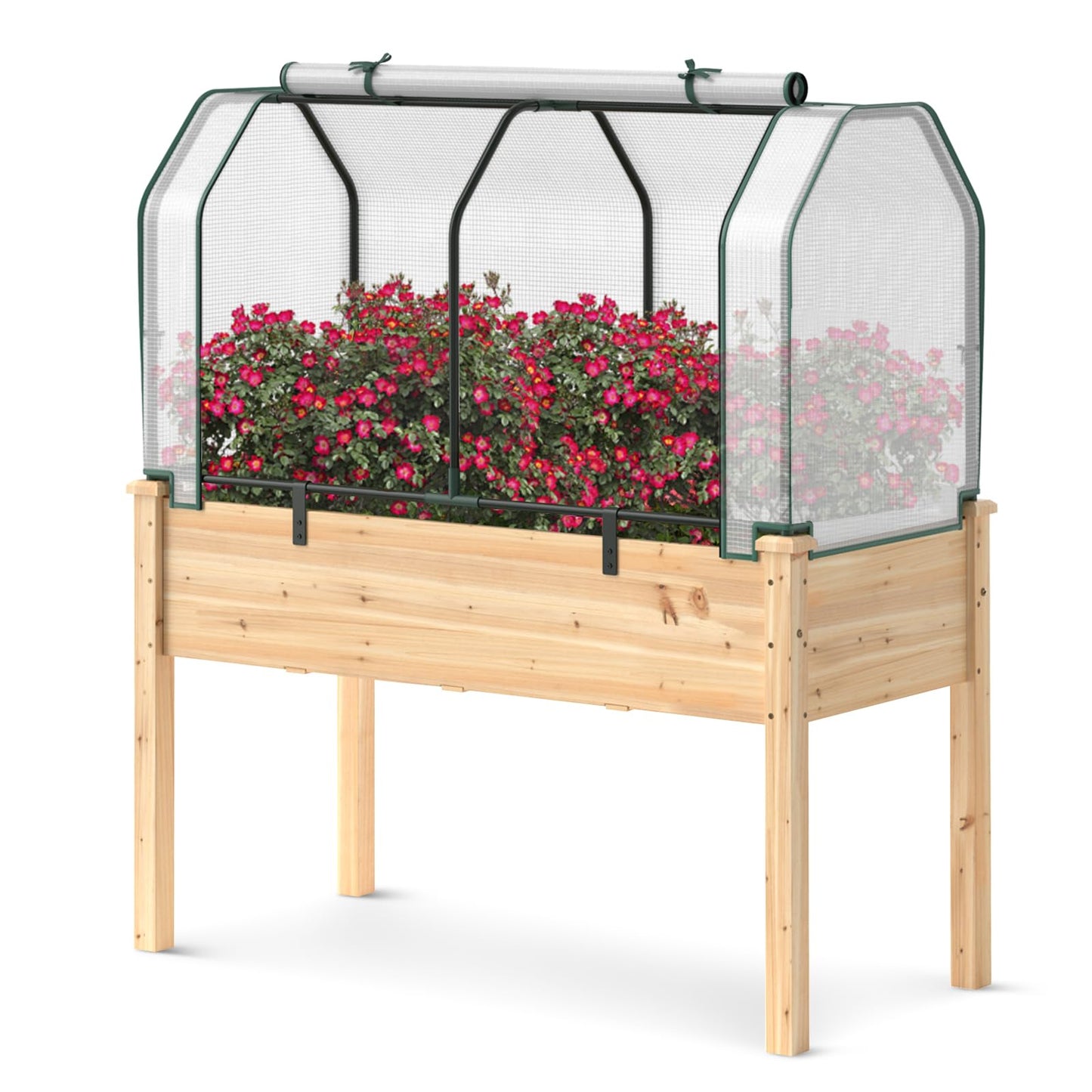Toolsempire Raised Garden Bed with Greenhouse Cover, Elevated Wooden Planter Box Outdoor Gardening Planting Bed for Vegetables Flowers & Herbs Grow Backyard Patio Lawn (White+Natural)