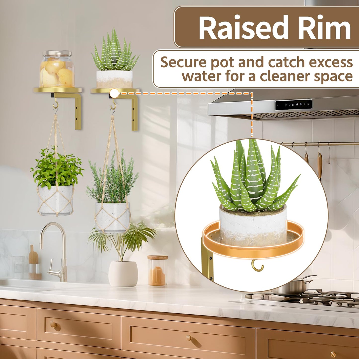 LASZOLA Plant Hangers Shelves Wall Mounted Indoor, Metal Window Plant Holders, 2Pcs Modern Floating Flower Display Stand with 2 Hooks for Outdoor Kitchen Bathroom Decor, Gold