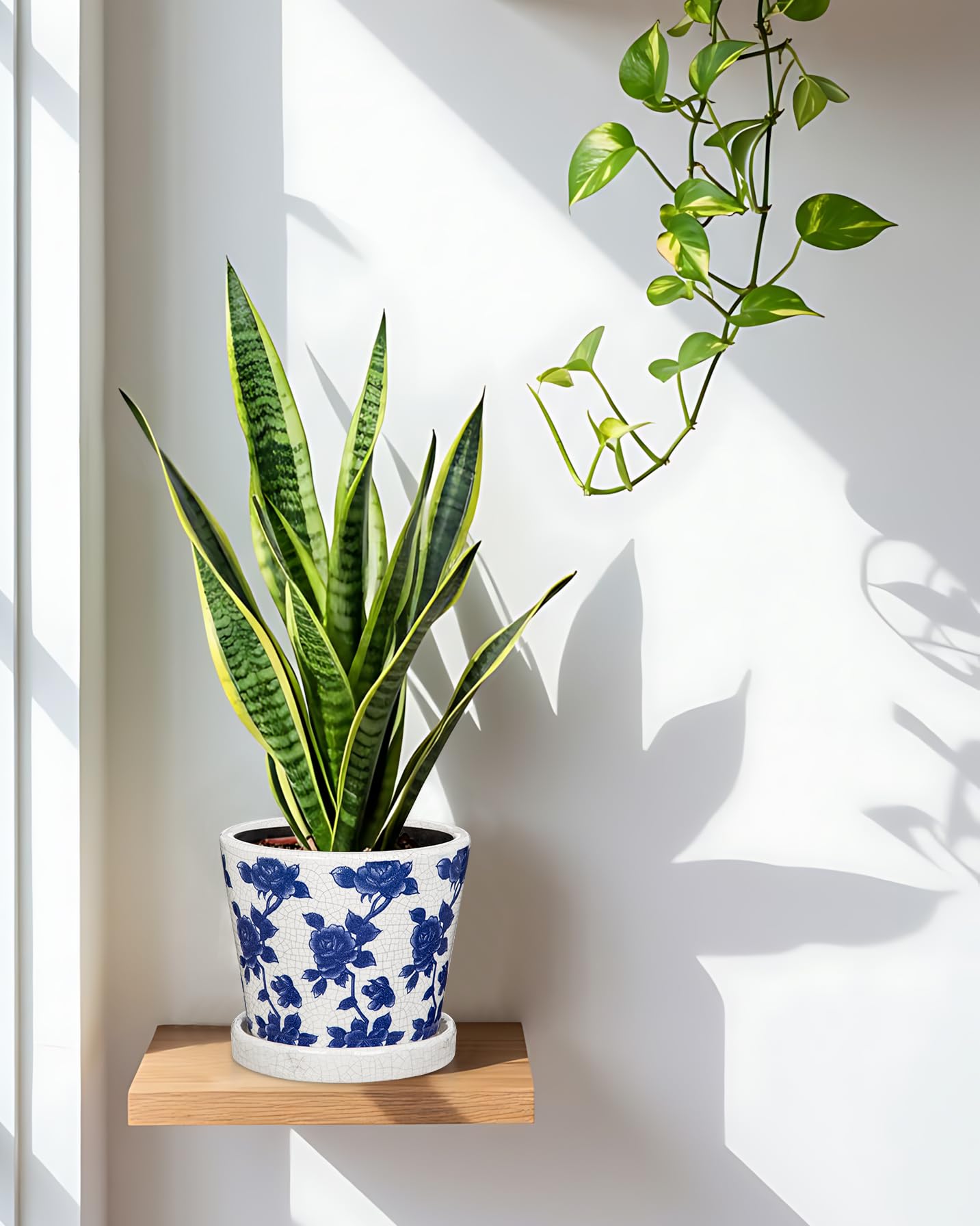 Ceramic Pot for Indoor Plants - 5.5 inch Flower Pot for Plants with Drainage Holes and Saucer Ice Crack Diamond Rose Flower Pattern Ceramic Planter for Outdoor Indoor Herb Snake Plant (Blue & White)