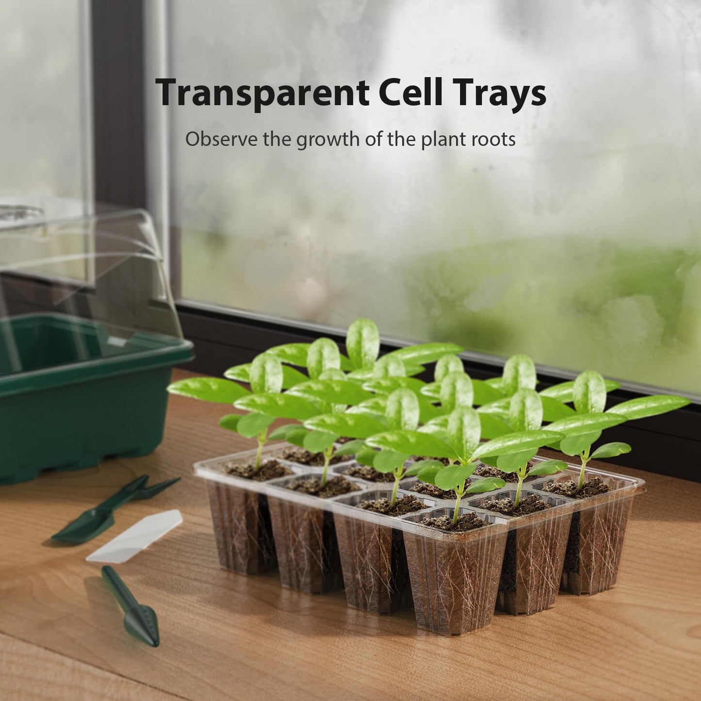 POROLIR Seed Starter Tray, 10PCS Seed Starter Kit, Seedling Starter Trays with Heightened Lids for Seed Staring, Indoor Gardening Plant Germination Trays (12 Cells per Tray) Green