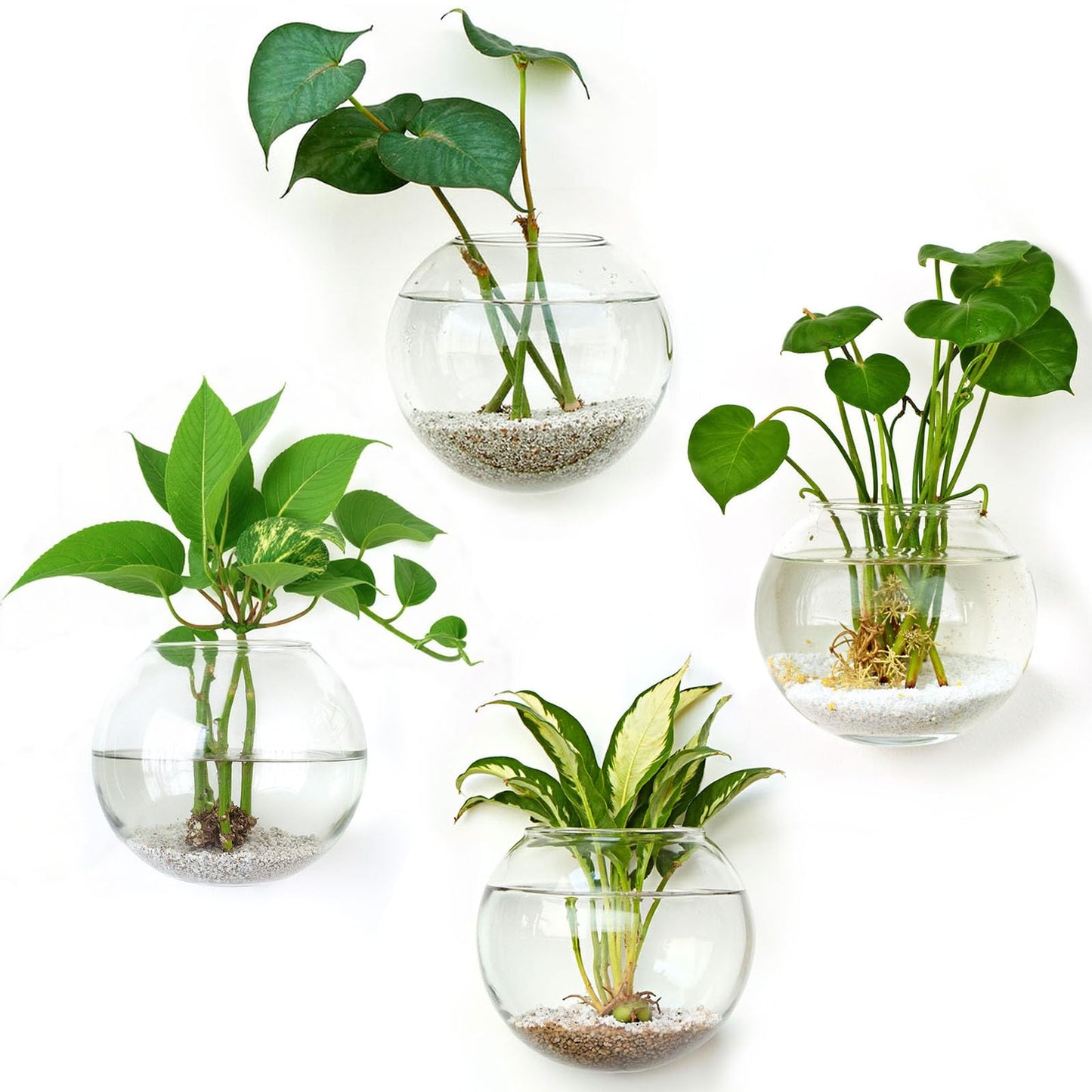 DomeStar 4PCS Wall Vases, Wall Mounted Hanging Glass Vases Clear Planter Terrarium Station for Hydroponics Plants Propagation Home Office Living Room Decor