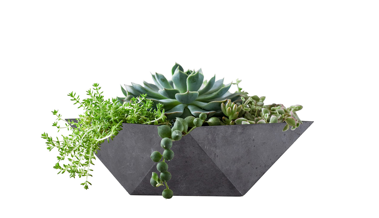The HC Companies 6 Inch Deco Faceted Plastic Succulent Bowl - Unique Decorative Indoor Planter with Drainage Hole, Faux Concrete (Pack of 2)