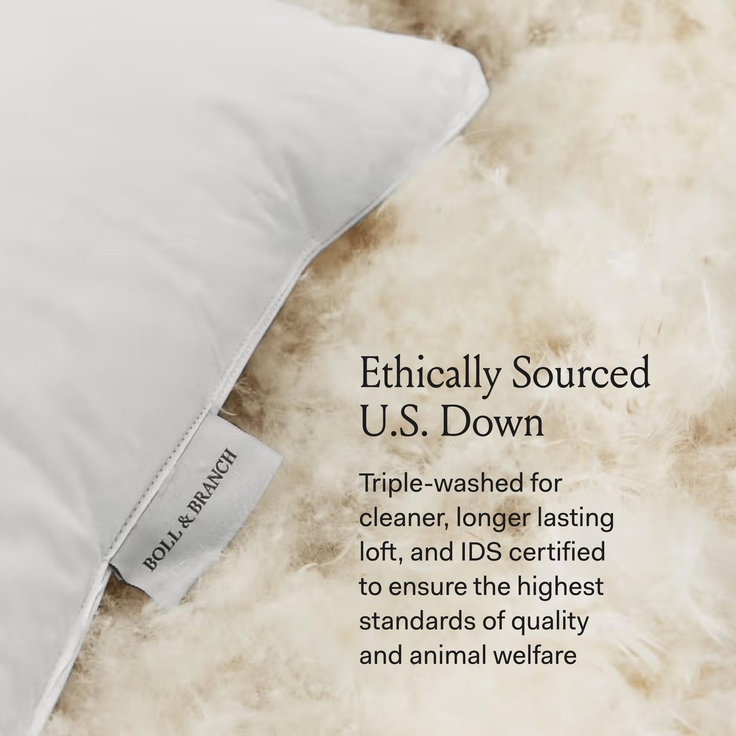 BOLL & BRANCH Down Chamber Pillow - Medium, Standard - Naturally Cooling Shell - Premium Comfort, Superior Support - Cruelty-Free IDS Certified Down