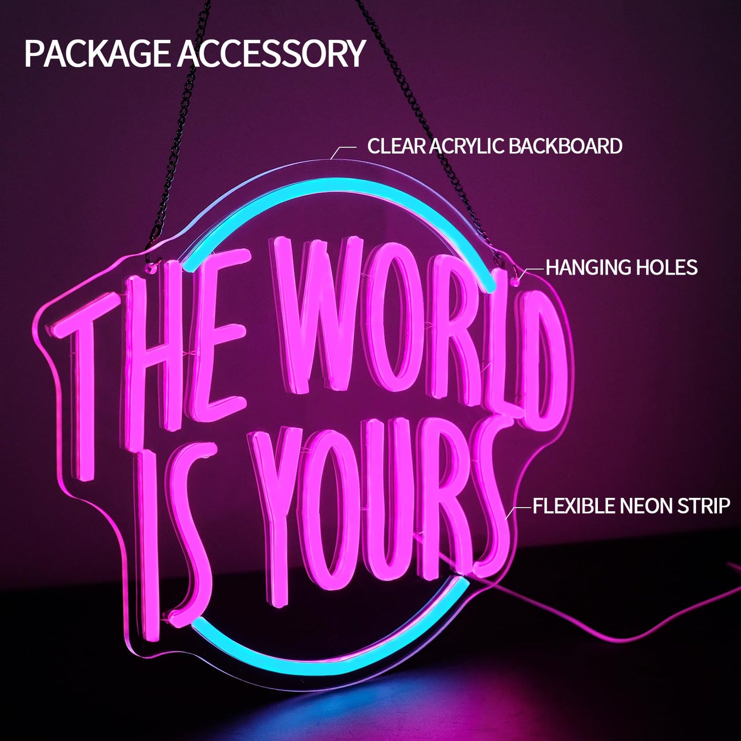 Runalosa The World is Yours Neon Sign for Room Decor Dimmable Blue Pink Girl Neon Light Sign Letters Led Signs for Wall Decor Bedroom Party Man Cave Bar Wedding Cafe Party Decor 15.7" x 12.4" Gift