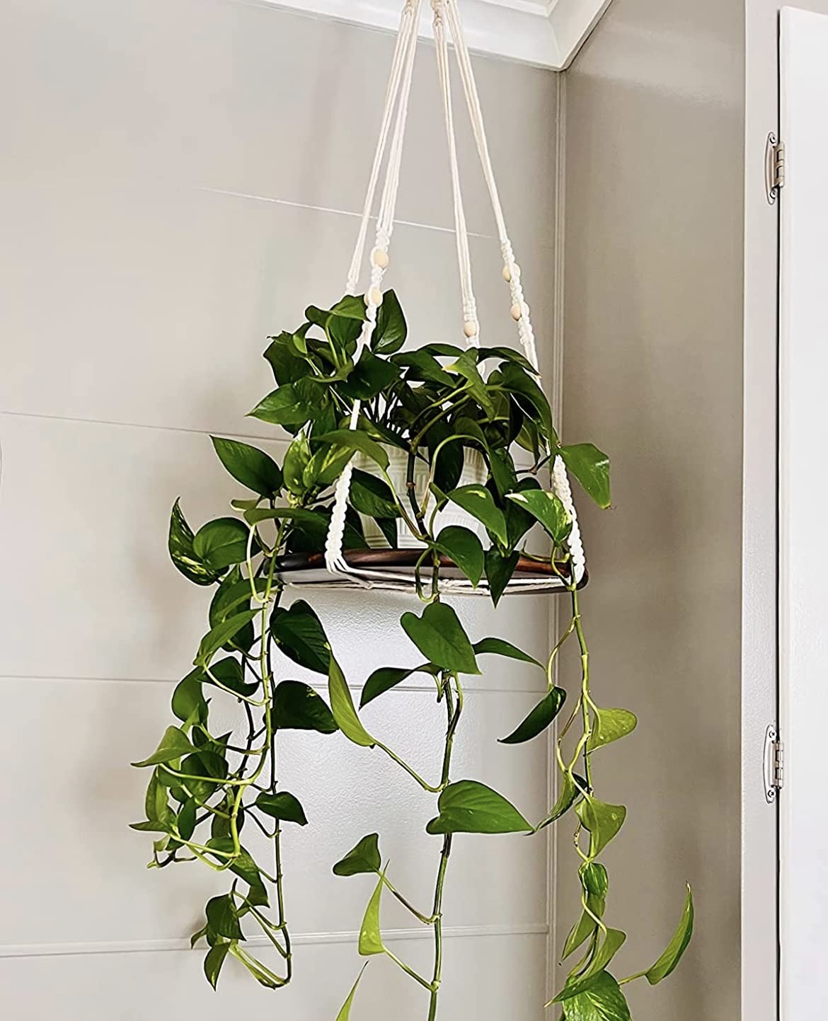Shineloha 2 Pack Macrame Plant Hanger | Plant Hanger Indoor, Hanging Planter Shelf | Hanging Planter (Beige) (1 Large + 1 Medium)