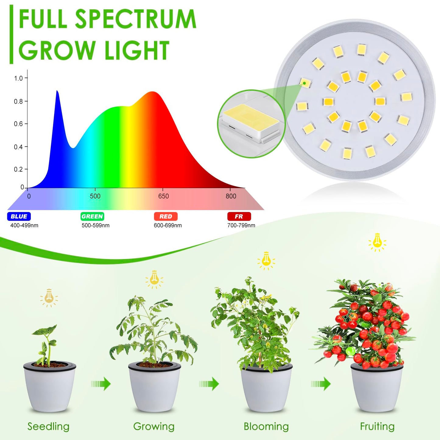LORDEM Small Pot Clip Grow Light, Full Spectrum LED Plant Grow Lamp for Indoor Growing, Auto On/Off Timer 4/8/12H, Plant Light with 4 Dimmable Brightness Levels, Ideal for Small Indoor Plants, 2 Pack