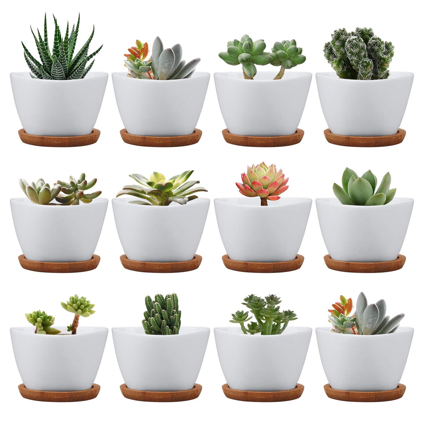 Brajttt Succluent Pots ，Small Flower Pots Planter Pots with Drinage,Ceramic Flowers Pots with Bamboo Tray for Cactus(12 Pack)