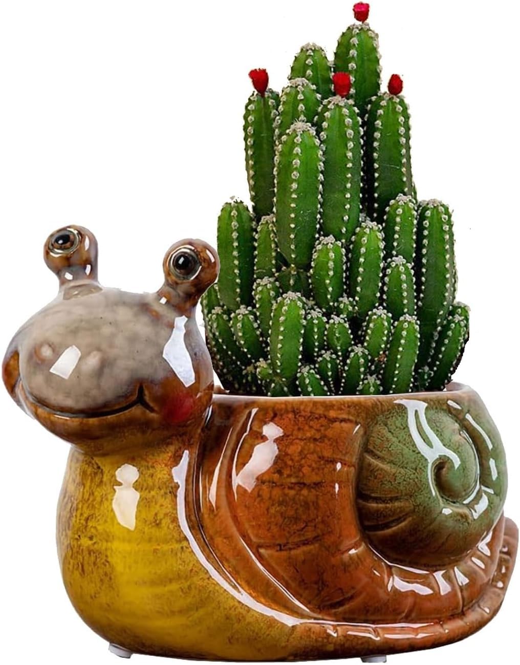 WENDIN Cute Ceramic Succulent Pot Small Indoor Animal Shaped Planter Cute Cactus Flower Pots with Drainage for Office Desk and Home Garden Decor (Snail)