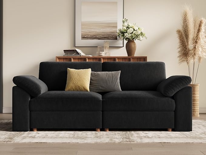 EASE MOOSE Comfty 2 Seat Couch, FSC Certified Modern Deep Seat Sectional Modular