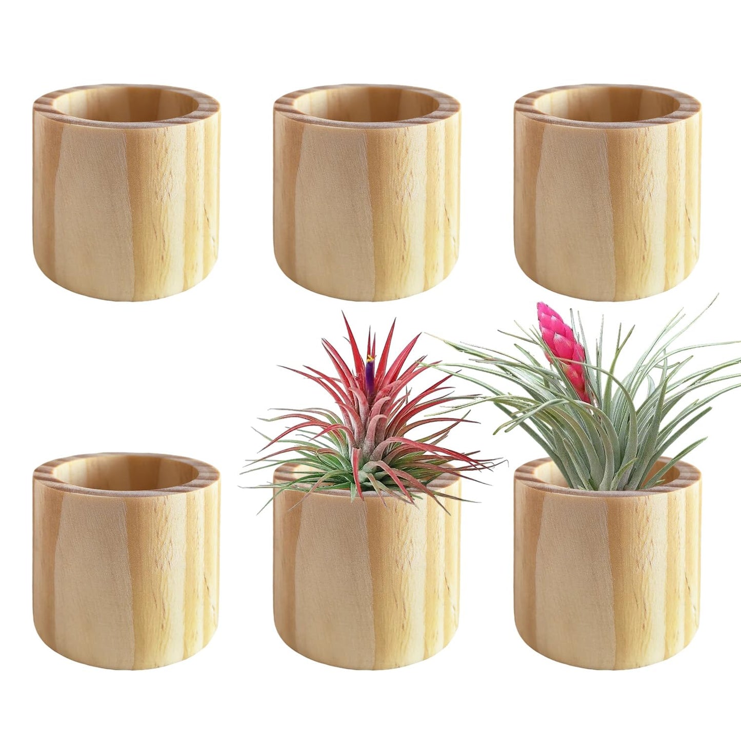 Belit 6 Pcs Air Plant Holder, Large Wooden Air Plants Live Holders for Home Decor (NO Plant Included)