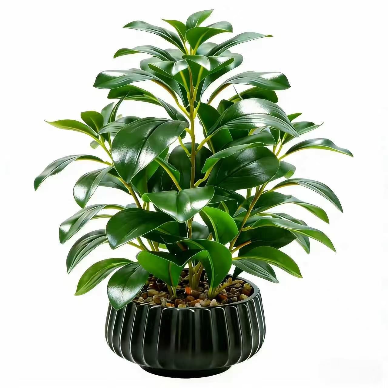Ewtogift 16" Artificial Peperomia Potted Plant in Black Ribbed Ceramic Planter Realistic Faux Green Leaves Tabletop Branches for Indoor Home Office Living Room Shelf Desk Decor