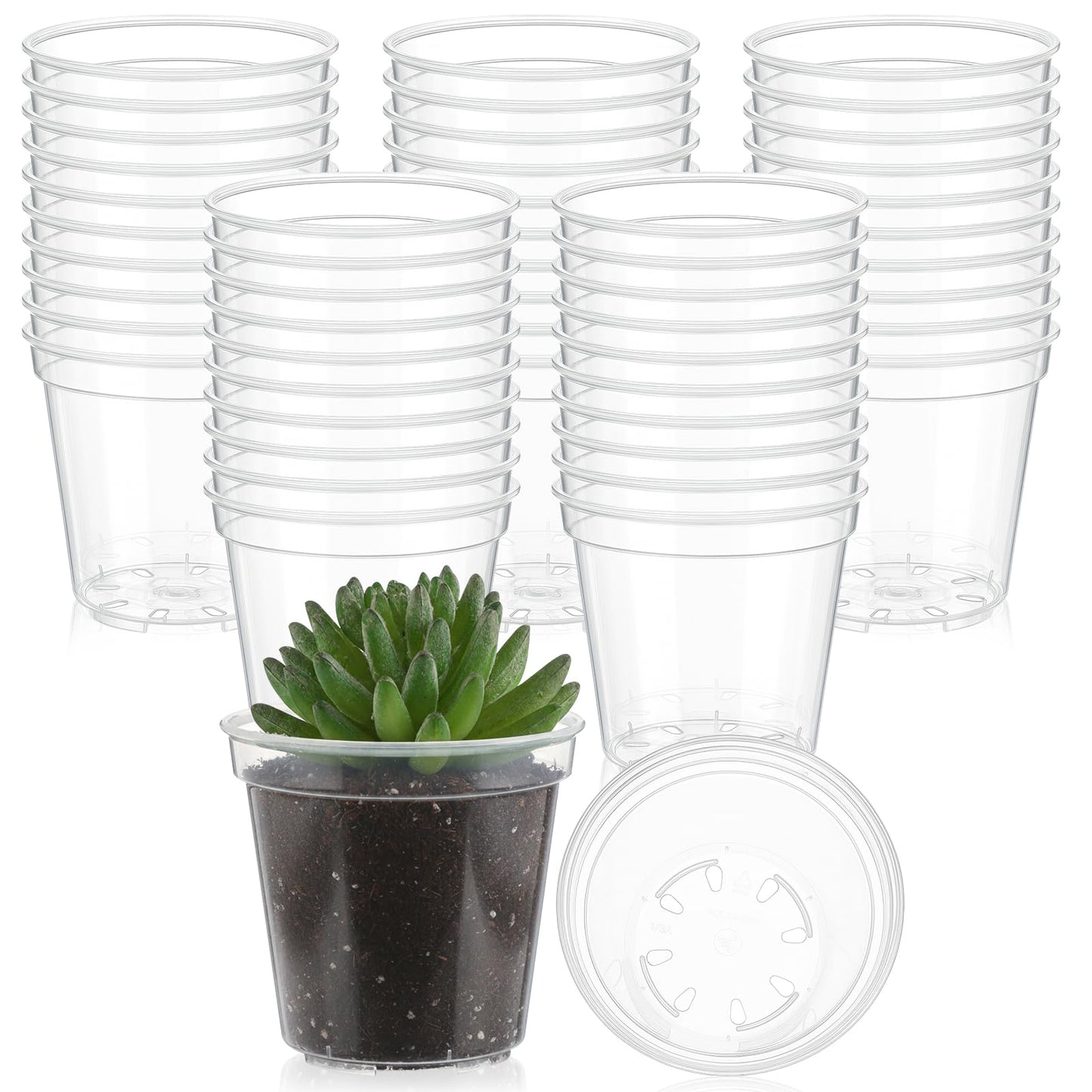 Yaomiao 30 Pcs 5 Inch Clear Mini Plastic Plant Pot Nursery Seedling Pots Seed Starter with Drainage Holes for Indoor Outdoor Garden Succulent Plants Cuttings Transplanting