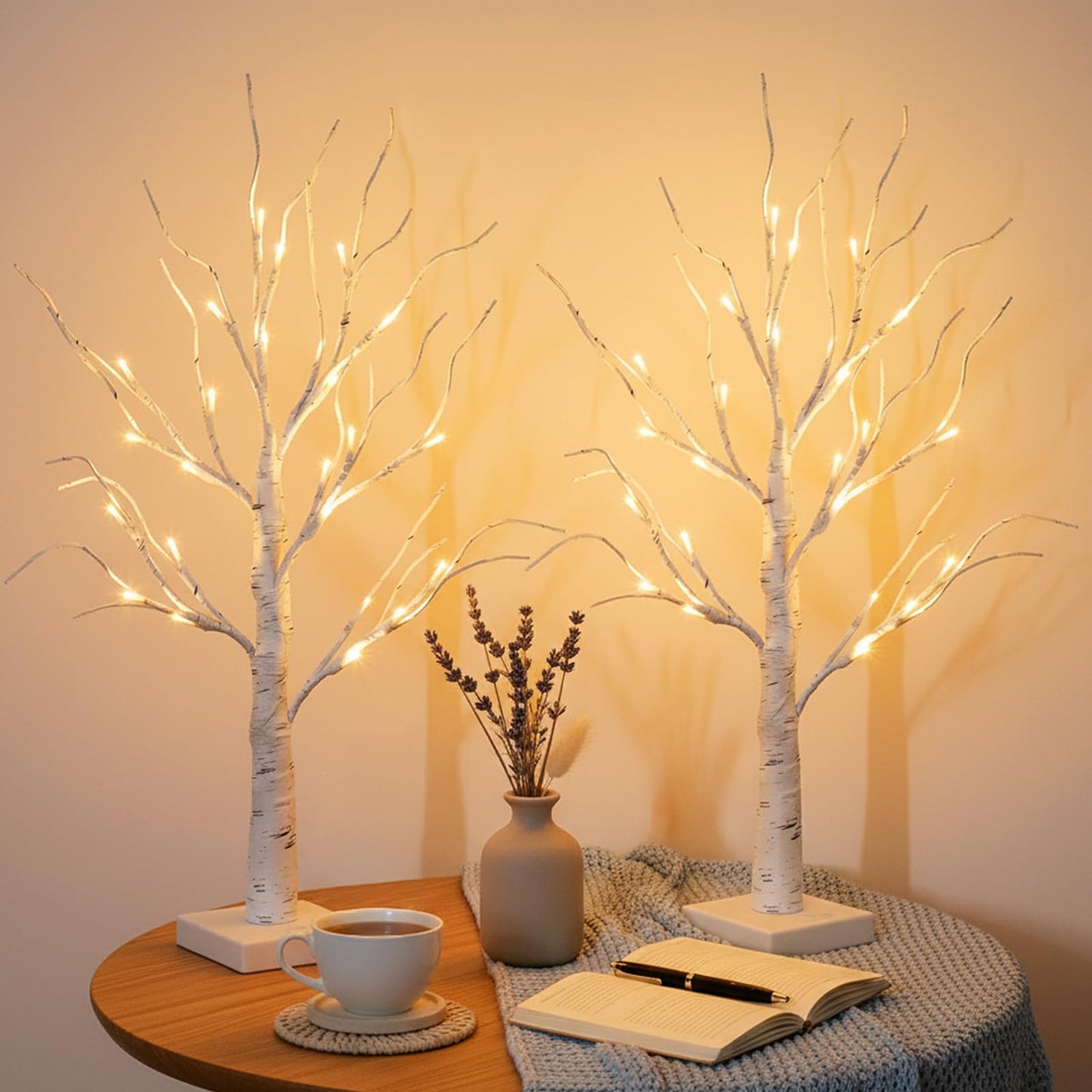 EAMBRITE Lighted Birch Tree Home Decor, Christmas Decorations Indoor 2Pack 24 LED Light Up Tabletop Mini Small Artificial White Trees Lamp with Lights Battery Operated/USB for Table Mantel (2FT)