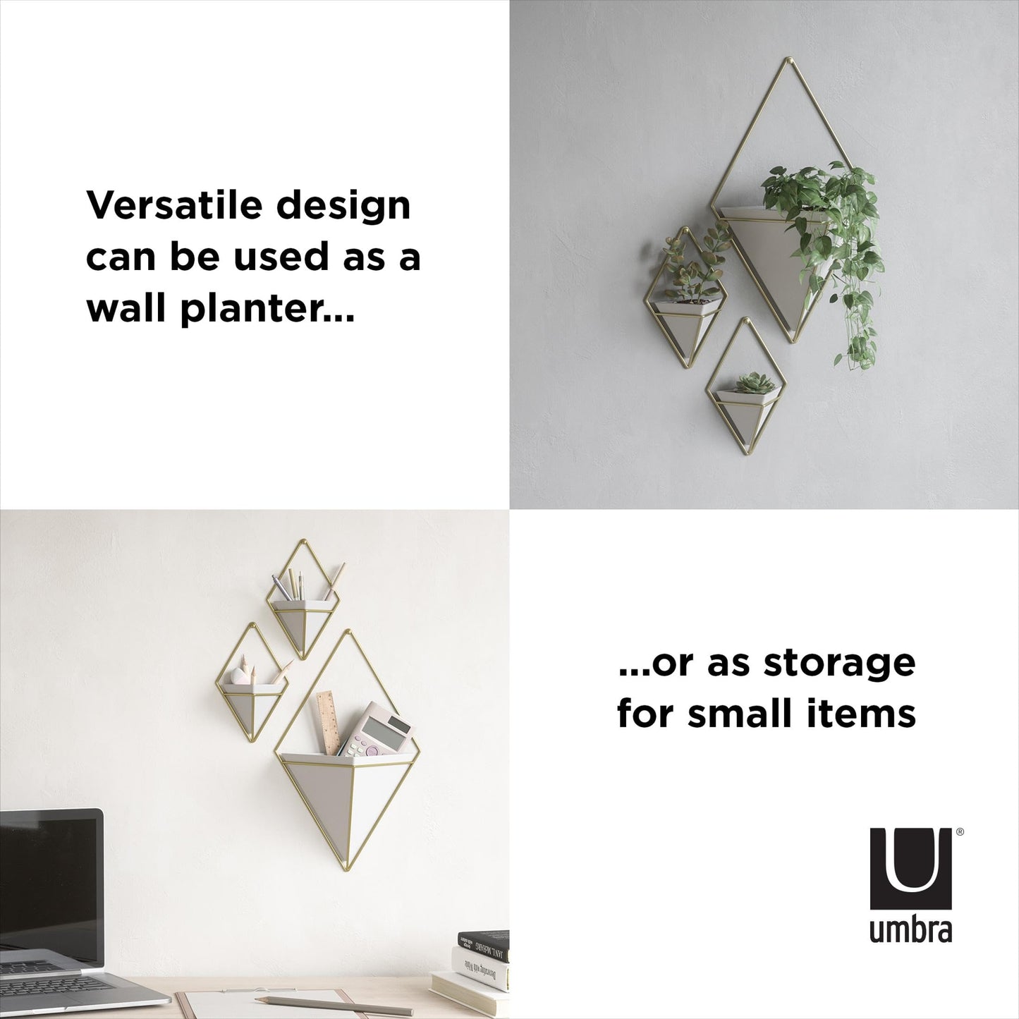 Umbra Trigg Hanging Planter Vase Wall Decor, Set of 2 Pots Containers for Succulents, Cactus, Faux Plants, and More, Small, White/Brass