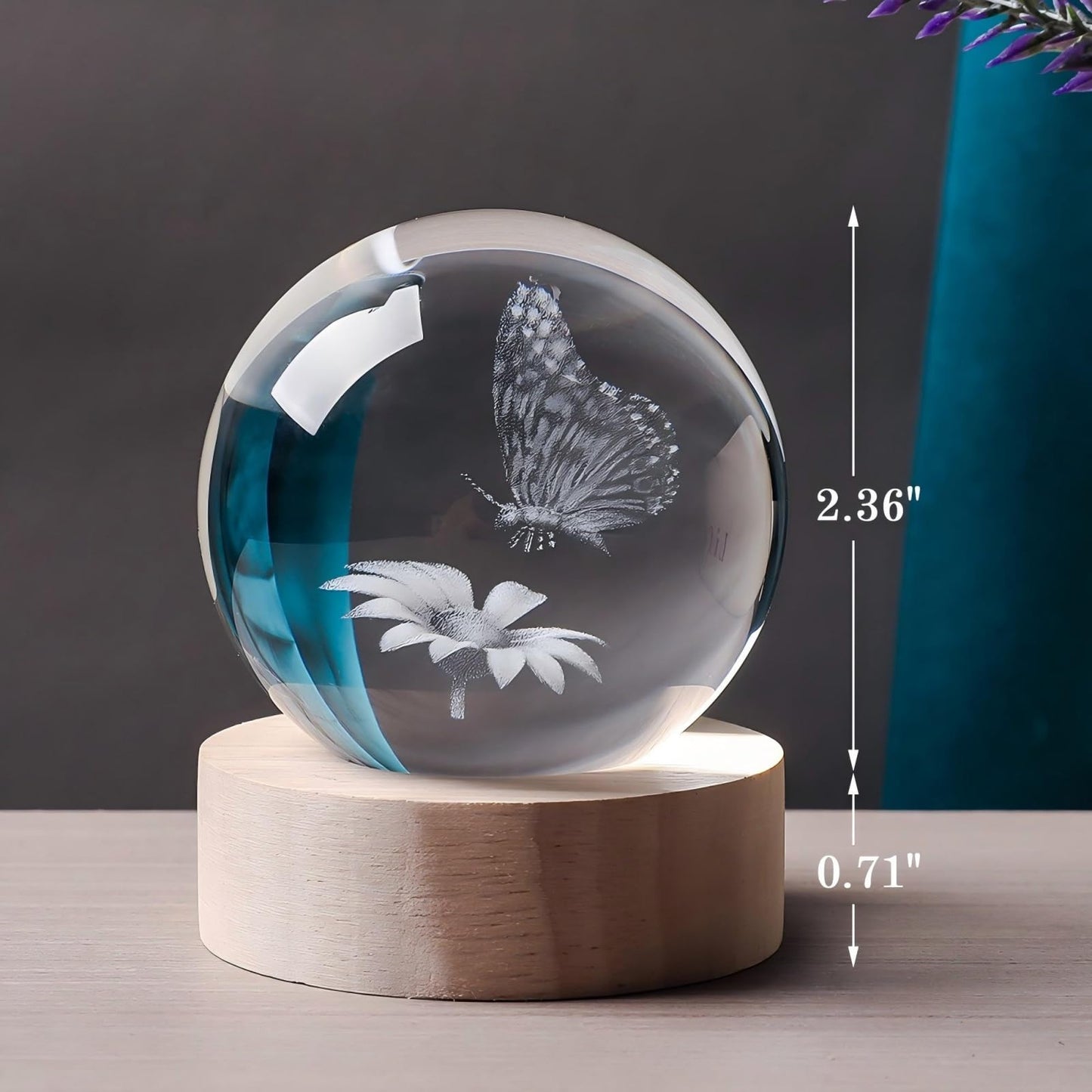 QIANRUNA 3D Butterfly 60mm Crystal Ball Butterfly Figurine Night Light Lamp Gifts for Women Wife Girlfriend Couple Her