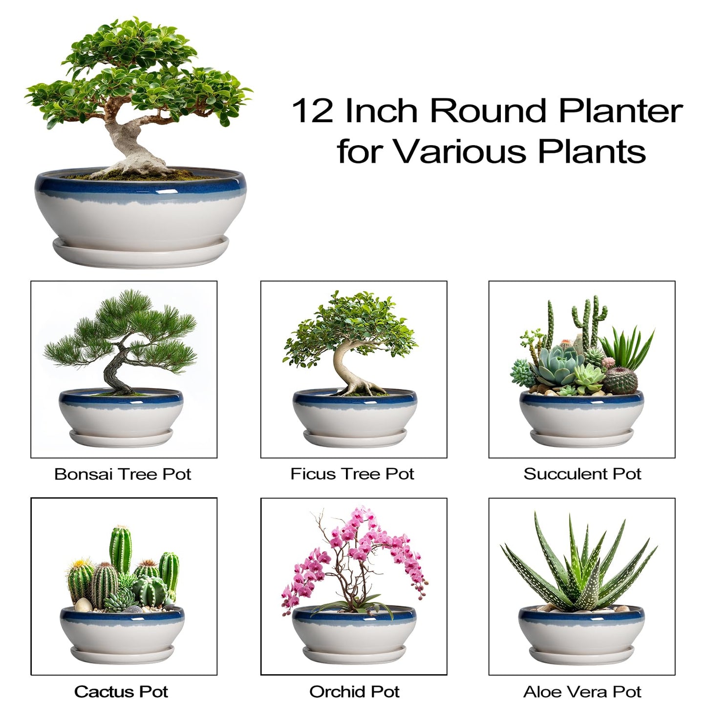 SQOWL Bonsai Tree Pots - 12 Inch Ceramic Succulent Planters, Large Bonsai Pot with Drainage Hole and Tray, Shallow Planter Indoor, Bowl Round Planter, Home Decor, Plant Lover Gift, Blue Off-White
