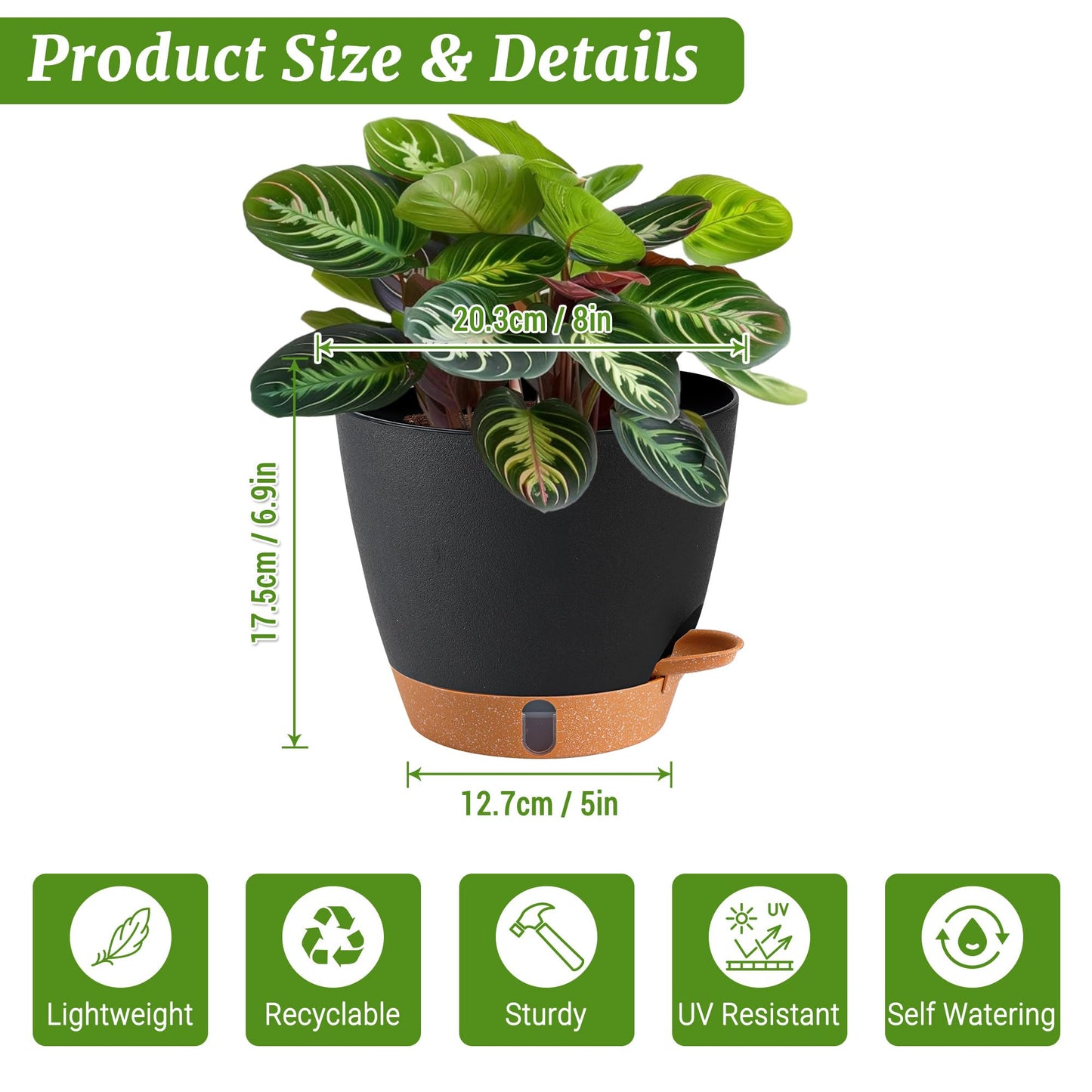Fielda 2 Pack 8 Inch Pots for Plants Indoor, Plastic Self Watering Planters with Drainage Holes, Water Level Indicator & Deep Reservoir, Decorative Flower Pots Indoor Outdoor Use (Black