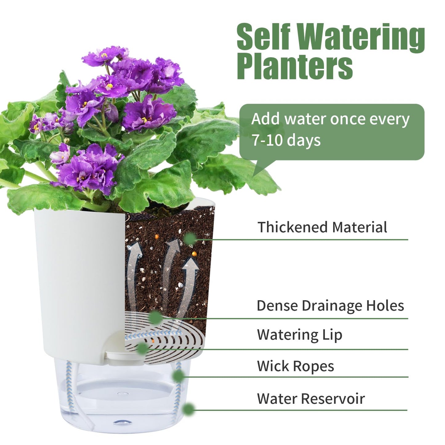 Oliz 6 Inch Self Watering Planter Pots for Indoor Plants, 3 Packs African Violet Pots with Wick Rope and Visible Reservoir Self Watering Planter for Herb, Houseplants