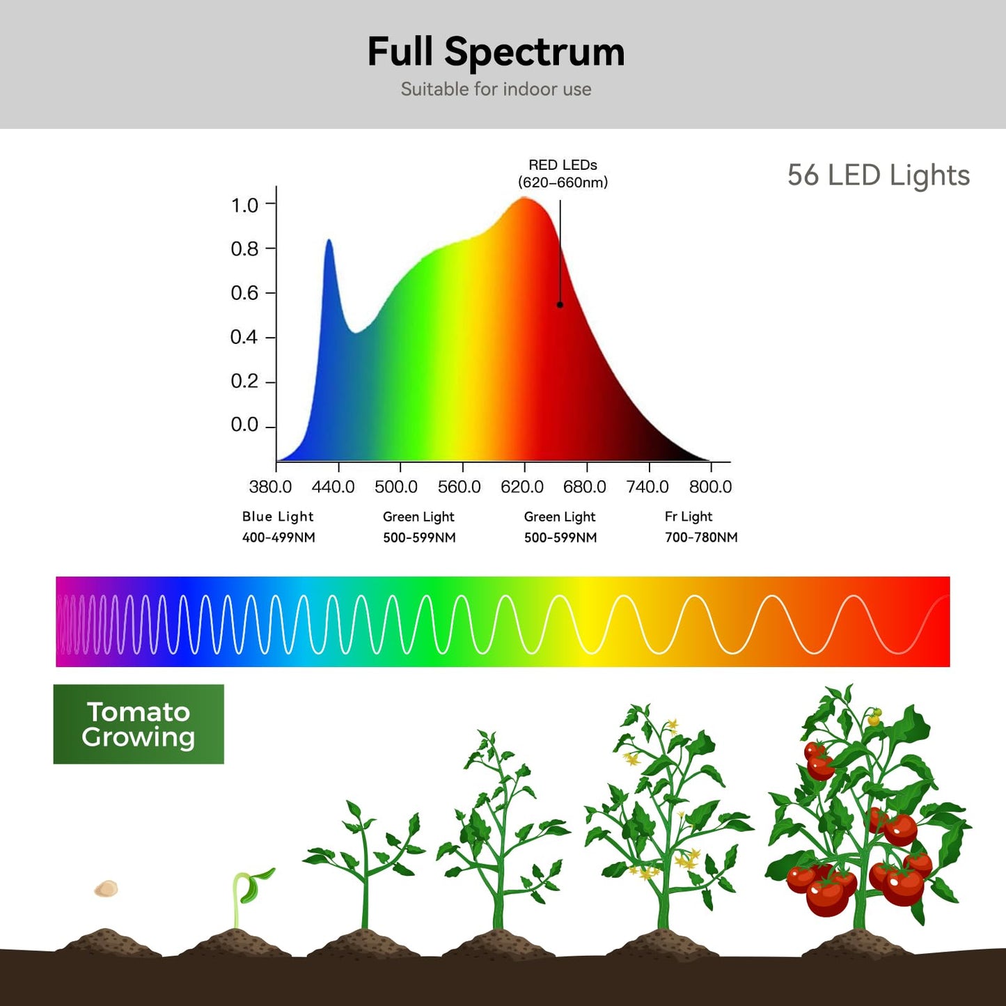 Grow Lights for Indoor Plants Full Spectrum, Clip On Plant Light for Small Plants, Plant Lamp with Adjustable Gooseneck, 4/8/12H Timer, 3 Color Adjustable & 10 Dimmable Brightness, Remote Control