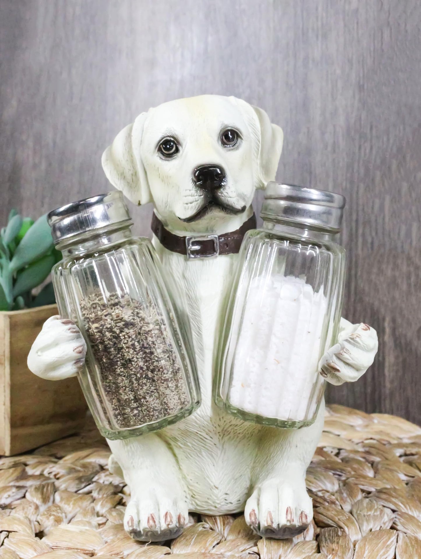 Ebros Pup And Spice Cute Wide Eyed Labrador Puppy Dog Hugging Glass Salt And Pepper Shakers Holder Figurine Whimsical Cartoon Pet Fawn Labradors Decor Statue