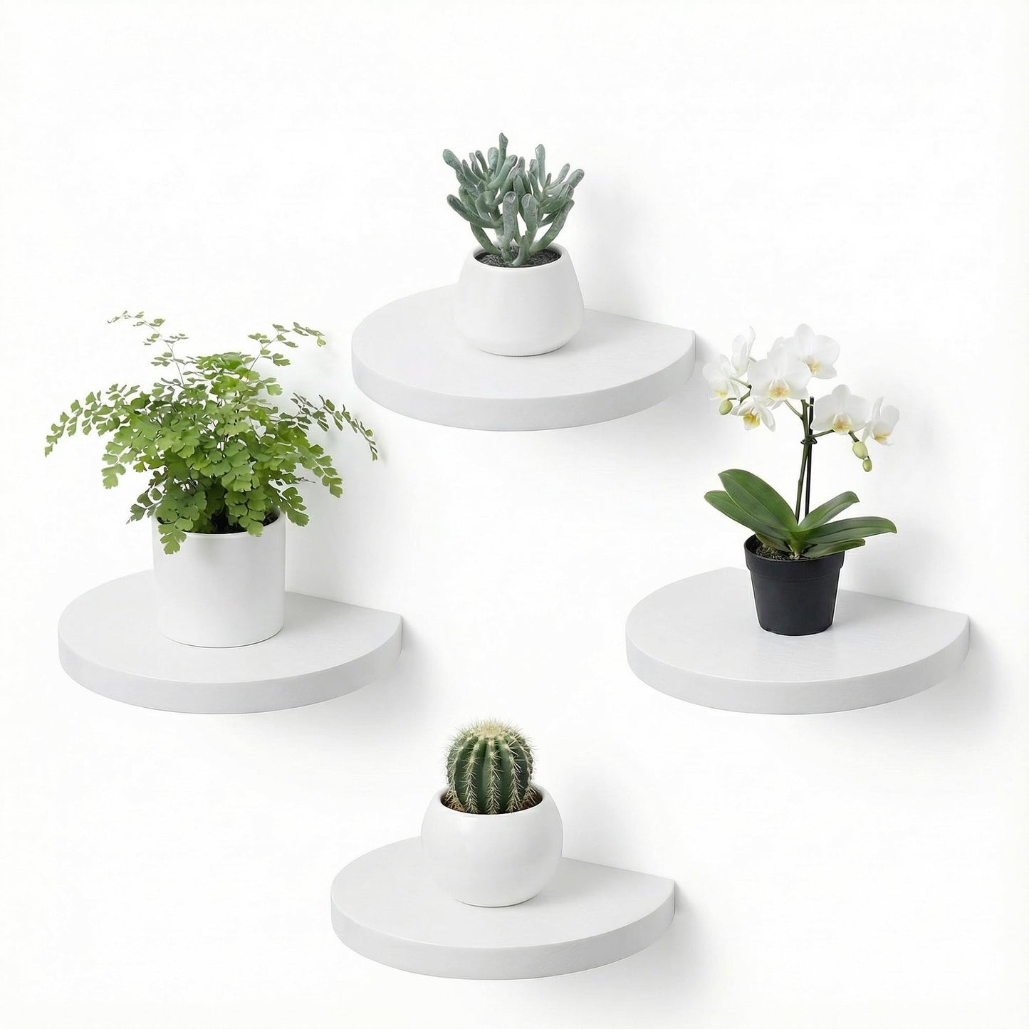 MITREL Small Wood Floating Shelves (4-Pack, 6-inch Diameter) - Round Sturdy Invisible Wall Mount Display for Small Plants,Toys,Bathroom,Living Room Storage & Modern Rustic Décor (White)