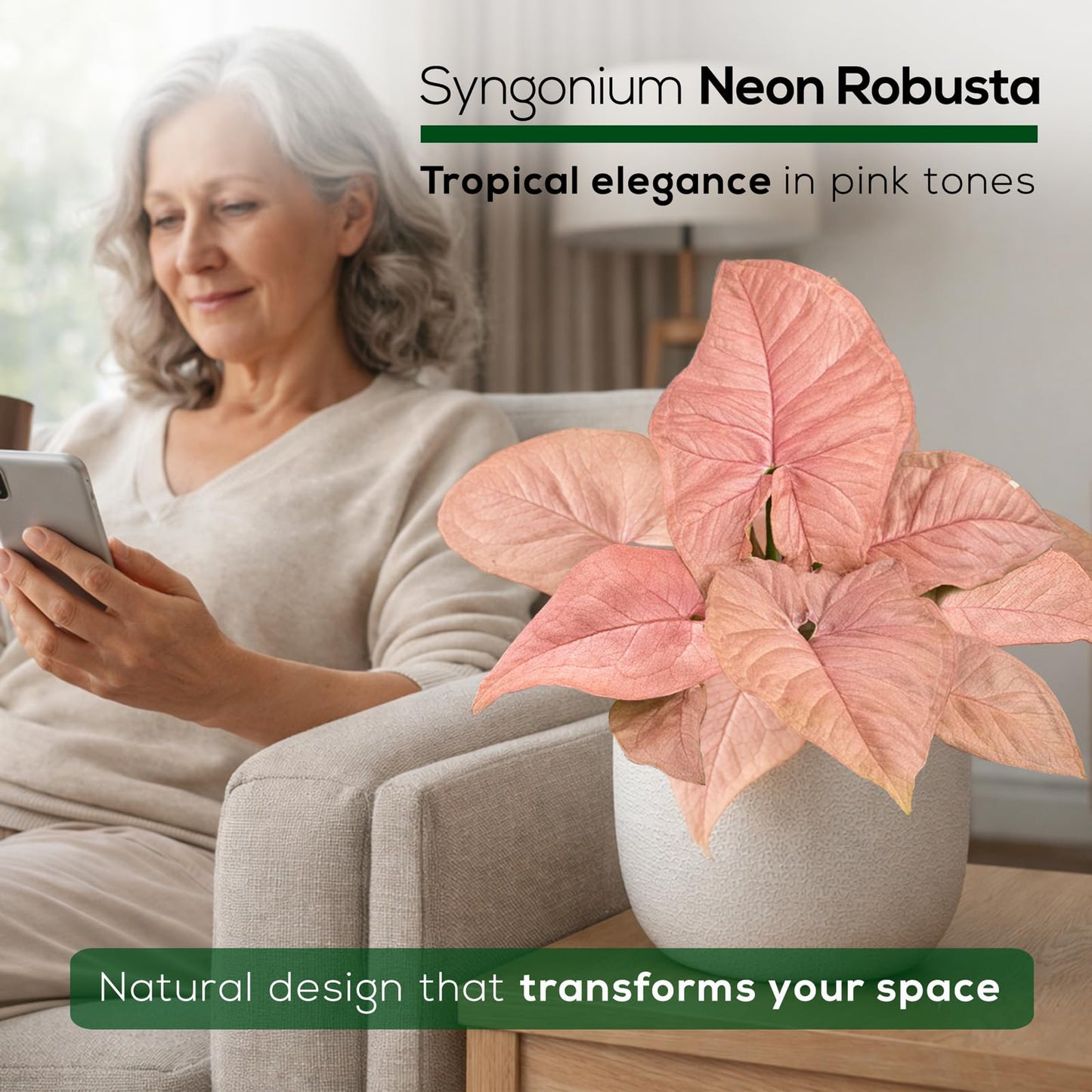 Syngonium Neon Robusta Plant (4 Pack) Live Starter Plants, Pink Arrowhead Vine Houseplants, Easy Care Indoor Tropical Plants Live, Colorful Foliage Plants