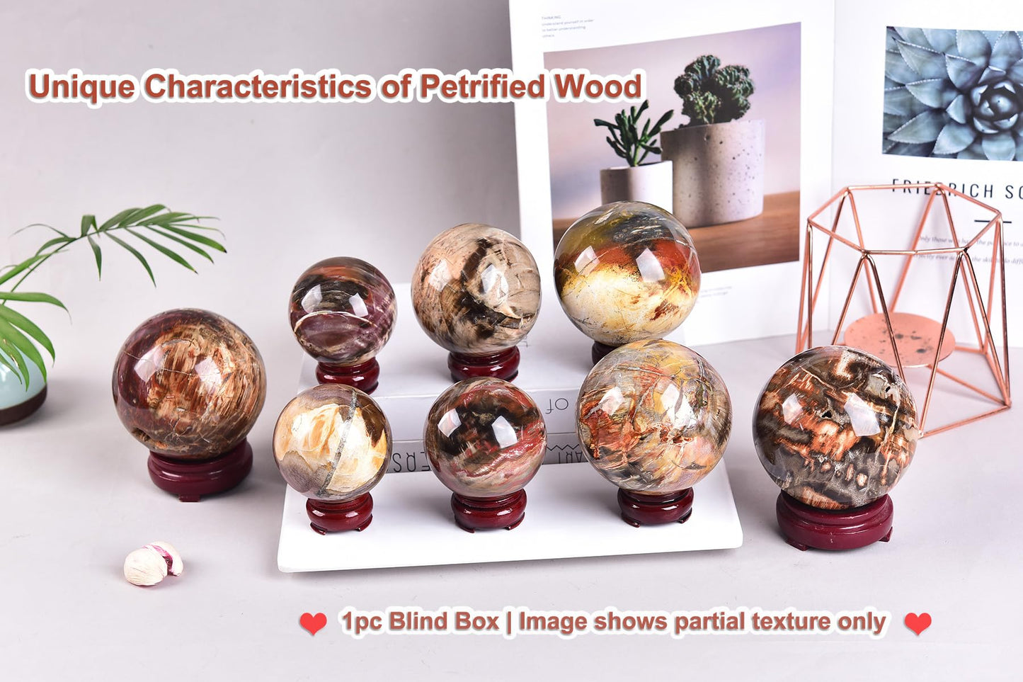 AMOYSTONE Crystal Sphere Heavy Petrified Wood Orb for Living Room Decor