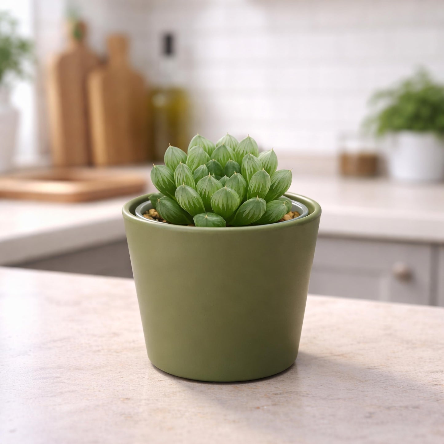 Phoenix Vine 3.5 Inch Olive Plastic Cachepot with Clear Nursery Pot, Decorative Lightweight Planter Cover with Transparent Inner Pot for Indoor Houseplants, Pack of 8, 24-A-F-8