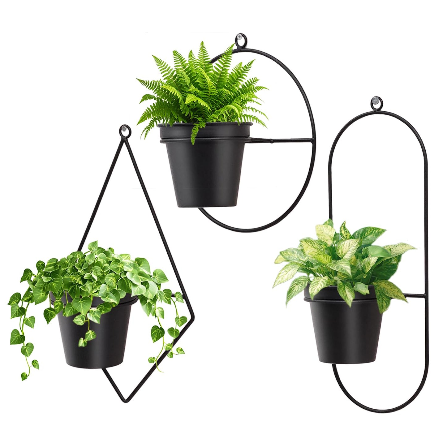 HemePaha Geometric Wall Planters for Indoor Plants Set of 3 Black Metal Wall Mounted Plant Holder (Diamond & Oval & Round Shapes) with 5 Inch Flower Pots, Modern Hanging Planters for Indoor Decor