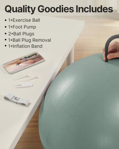 YOTTOY Anti-Burst Exercise Ball for Working Out, Yoga & Pregnancy, Extra Thick Workout Ball for Physical Therapy & Fitness