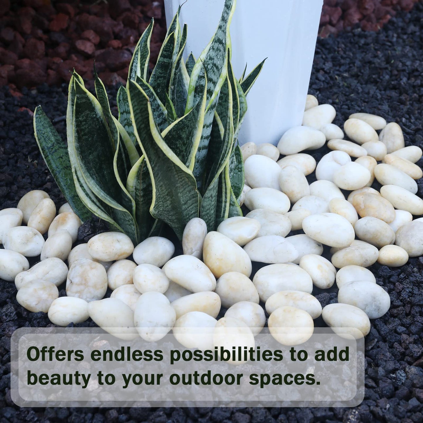 Ausluru 11LB Stones Pebbles River Rocks, 100% Natural Hand-Picked Premium Decorative Pebbles, Ideal for Garden Landscaping, Home Decor, Aquariums, Painting, Crafting and Gifts, Cream White