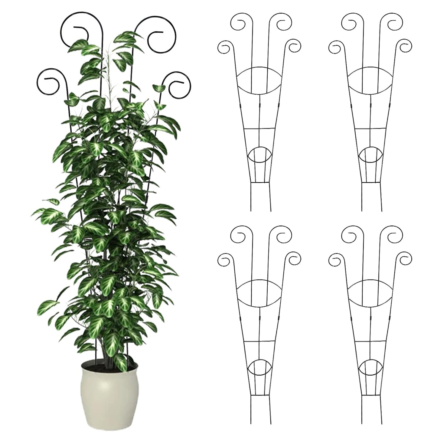 4 Pack Metal Trellis for Climbing Potted Plants Indoor Outdoor - 30 Inch Rustproof Garden Stakes, Plant Support for Monstera Pothos Ivy Hoya Vines, Potted Houseplant