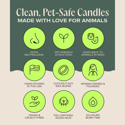 Companion Candles Snuggle Season Pet-Friendly Scented Candle – Balsam, Tonka Bean & Evergreen Fragrance - Coconut Soy Wax Candle with Wooden Wick, Approx. 50-Hour Burn Time, Made in USA, 11.8 oz