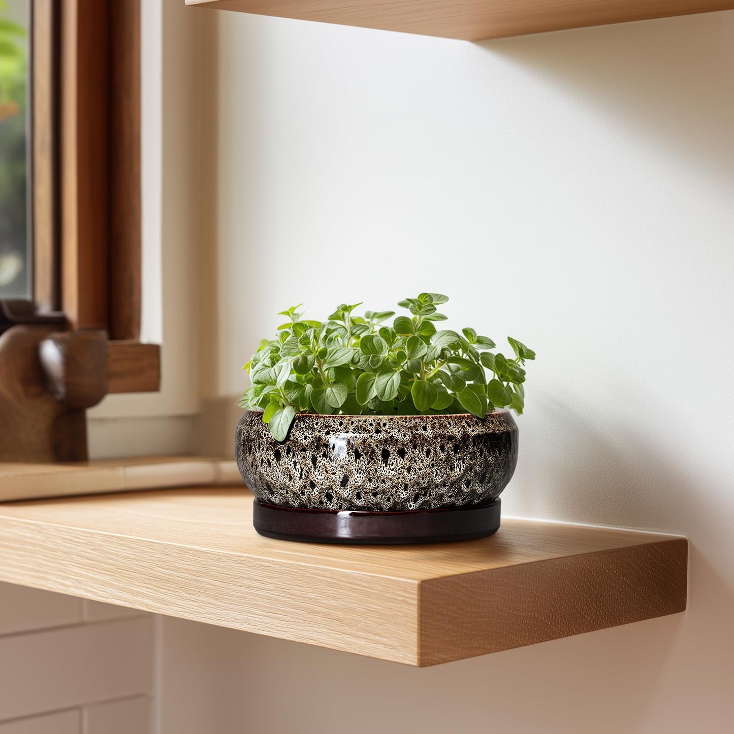 EPFamily Succulent Planter 6 Inch - Ceramic Bonsai Pots with Drainage Hole and Tray, Shallow Plant Pot Indoor Outdoor, Cactus Succulent Pot, Round Bonsai Planter, Home Decor, Plant Lover Gift, White