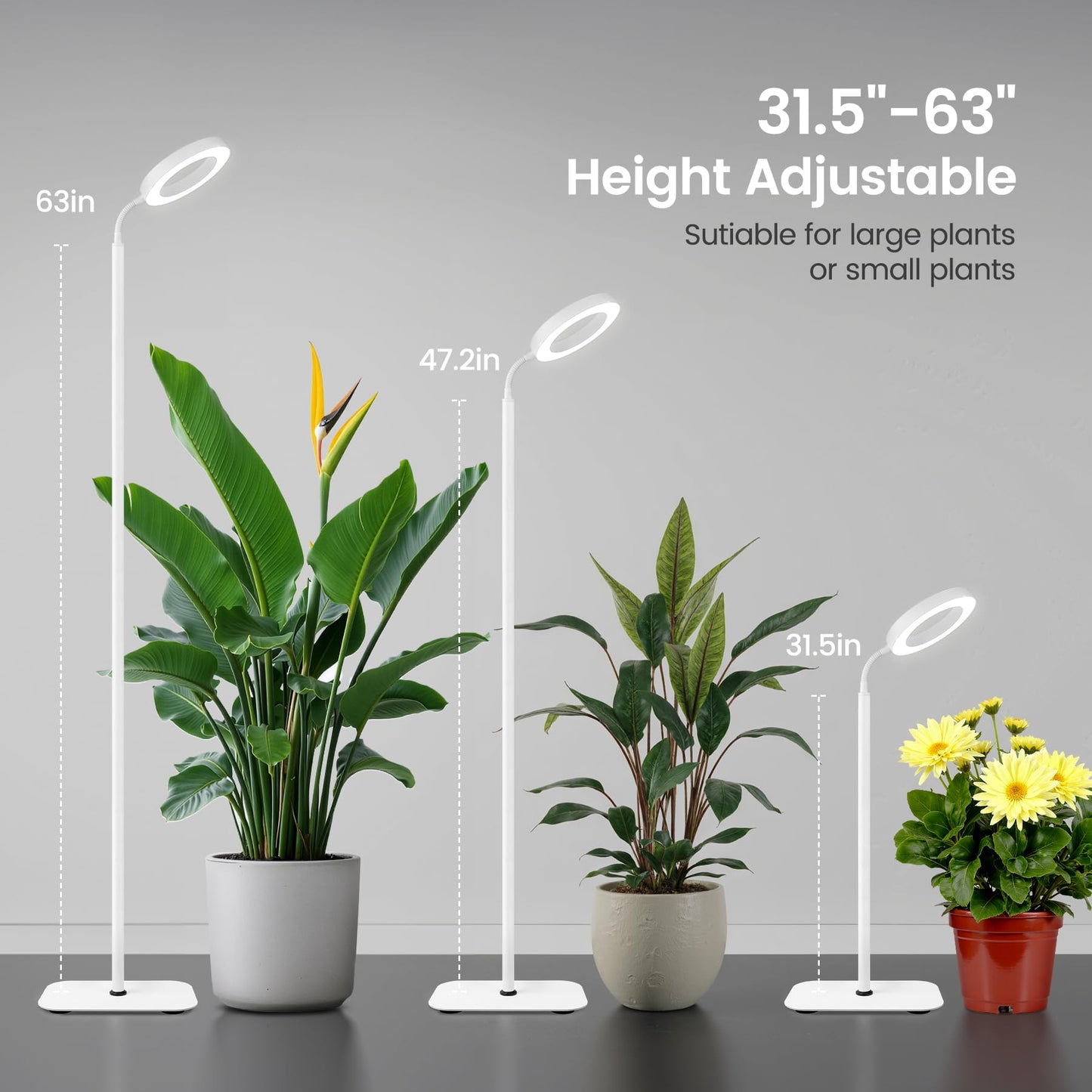 MistyJungle Grow Lights for Indoor Plants,Floor Lamp with 63IN Stand,Full Spectrum,10 Dimming,Halo Ring Warm Light, 3/9/12H Timer,Height Adjustable,Metal Stable Base Growing Light for Tall Small Plant