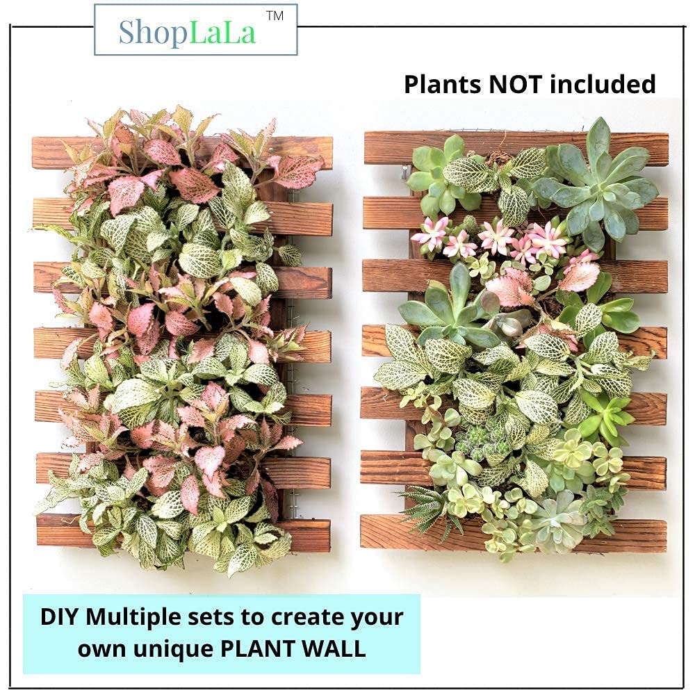 ShopLaLa Wall Planter - 2 Pack Wooden Orchid Planter Frame Display Outdoor Plants, Wall Mount Air Plants Succulent Holder Hanger, Vertical Garden Plant Wall Decor Macetas para Orquideas 15.7" (40cm)