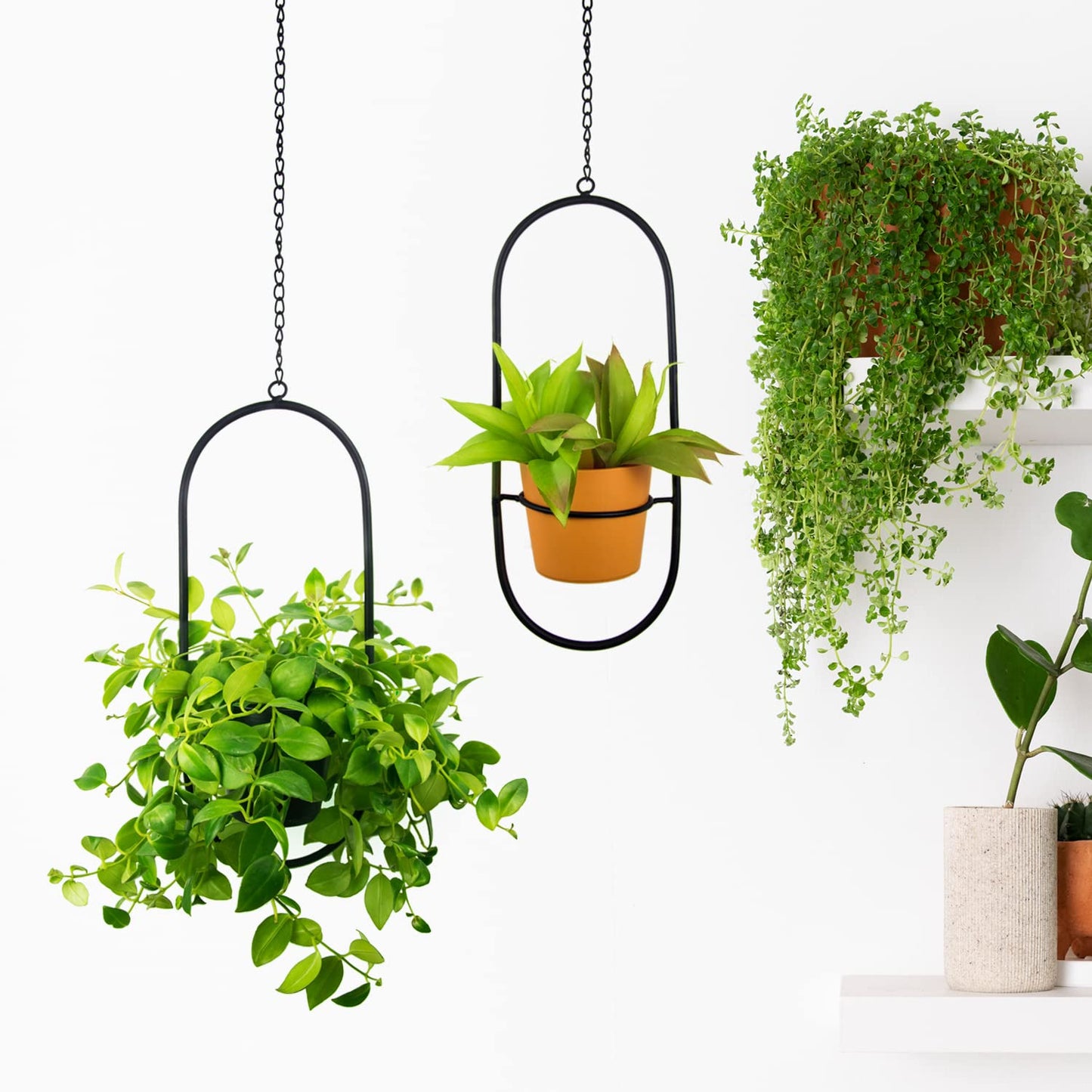 HemePaha Modern Metal Hanging Planters with 5 Inch Pots - Set of 2 Oval Geometric Plant Hangers - Black Wall and Ceiling Mount Flower Holders for Indoor and Covered Outdoor Houseplants