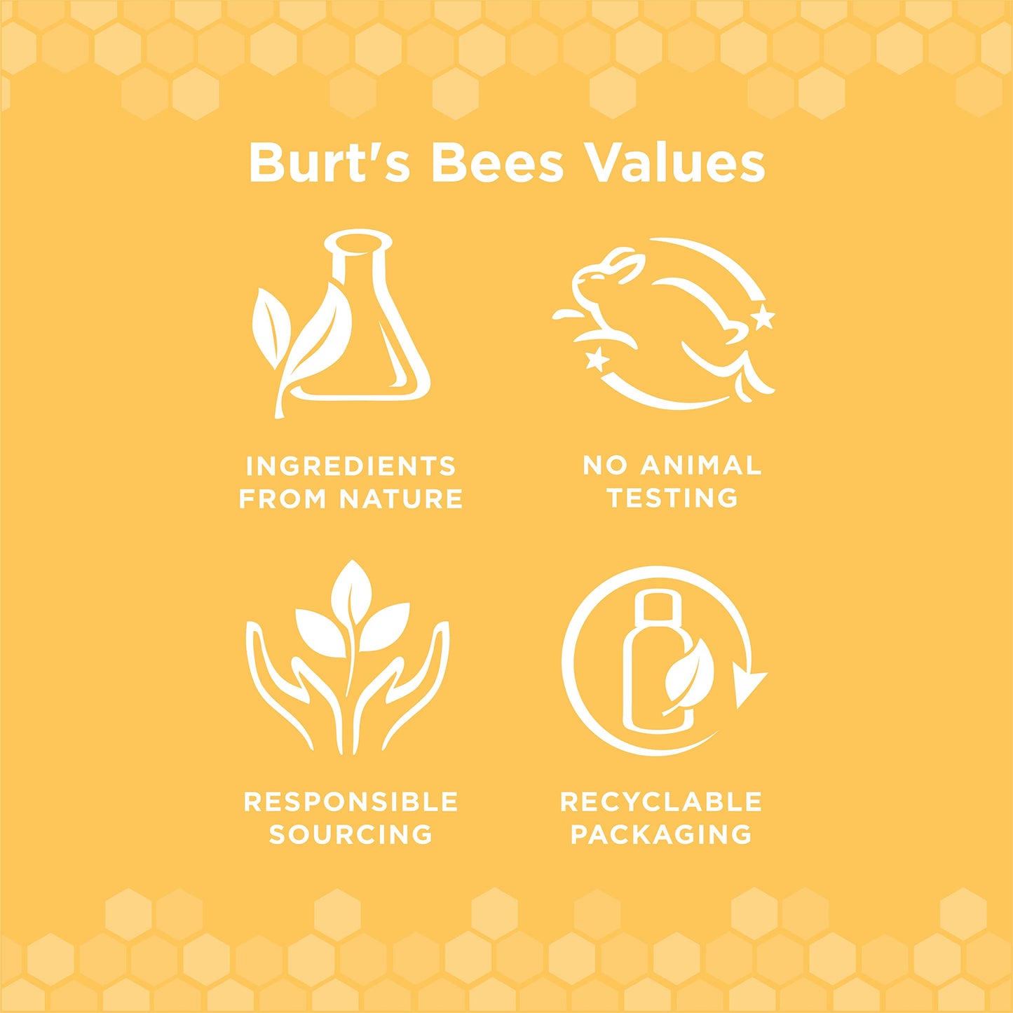 Burt's Bees for Pets Naturally Derived Oral Care Kit - Dog Dental Kit with Toothpaste & Bamboo Toothbrush - Dog Toothbrush and Toothpaste with Honeysuckle & Peppermint Oil, Fresh Mint Flavor (2.5 oz)