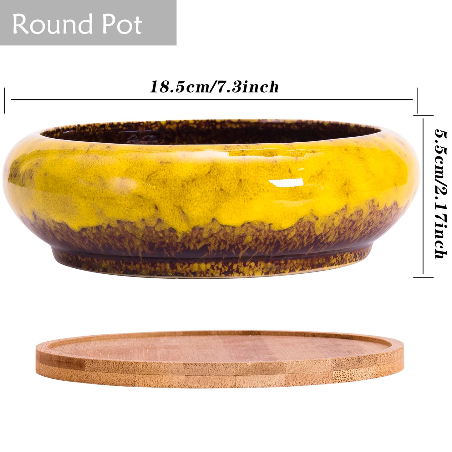 Succulent Pots, 1 Rectangle Planter + 1 Ceramic Bonsai Pot with Drain Tray, 2 Pack Large Shallow Succulent Planters for Indoor Plants, Round Cactus Flower Plant Pot for Desk Windowsill Decor