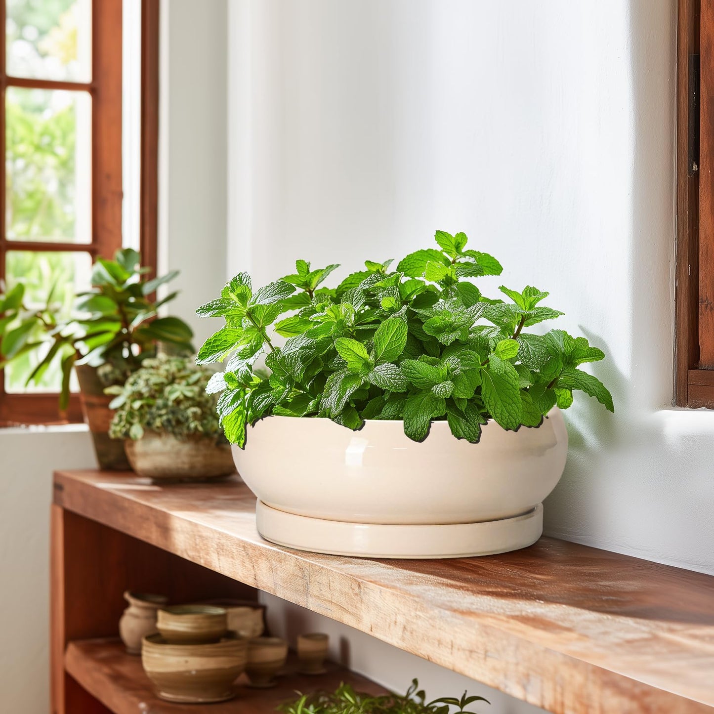 EPFamily Bonsai Pots - 10 Inch Ceramic Succulent Planters Indoor Outdoor, Bonsai Planters with Drainage Hole and Saucer, Round Shallow Planter, Bowl Planter, House Decor, Gifts for Plant Lover, Beige