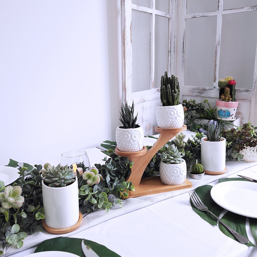 3pcs Owl Succulent Pots with 3 Tier Bamboo Saucers Stand Holder - White Modern Decorative Ceramic Flower Planter with Drainage - Home Office Desk Garden Mini Cactus Plant Pot Indoor Decoration