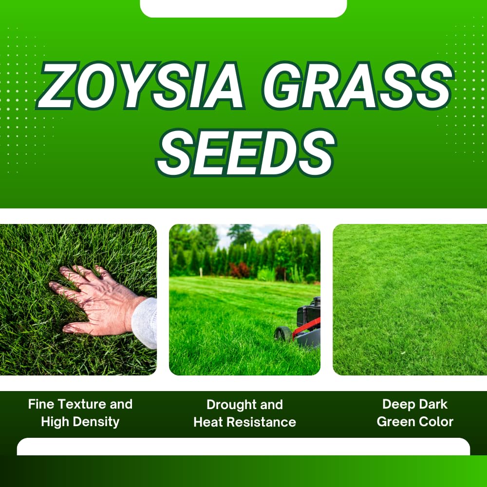 10000 Zoysia Grass Seed, Zoysia Emerald Grass Seeds for Lawn, Soft Texture and Drought Tolerant Grass Seed